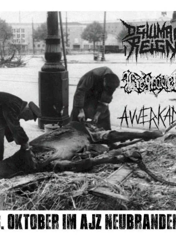 Flyer: DEHUMAN REIGN + BEGRAVEN + AVVERKAD