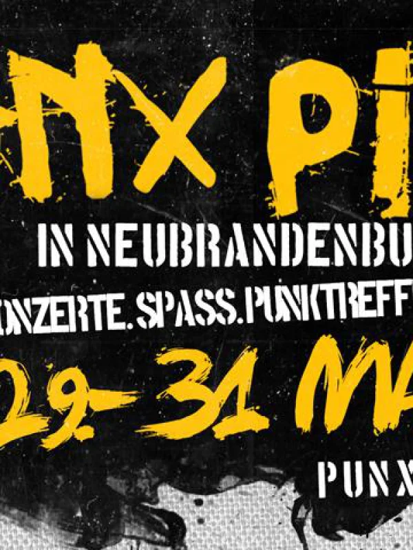Flyer: PUNX PICNIC 2014