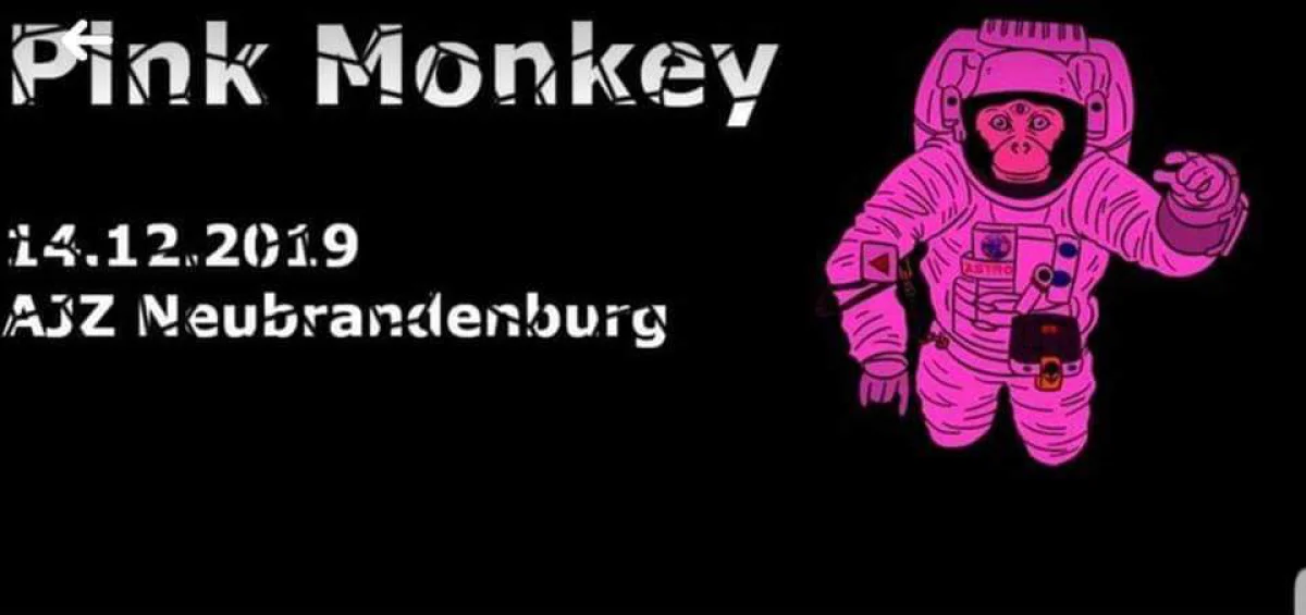 Flyer: PINK MONKEY