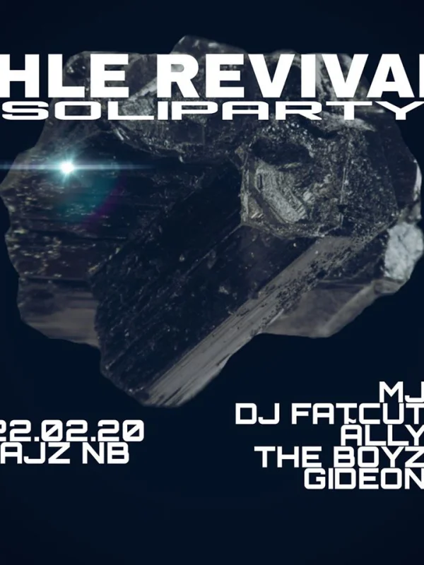 Flyer: SOLIDISKO IHLE REVIVAL