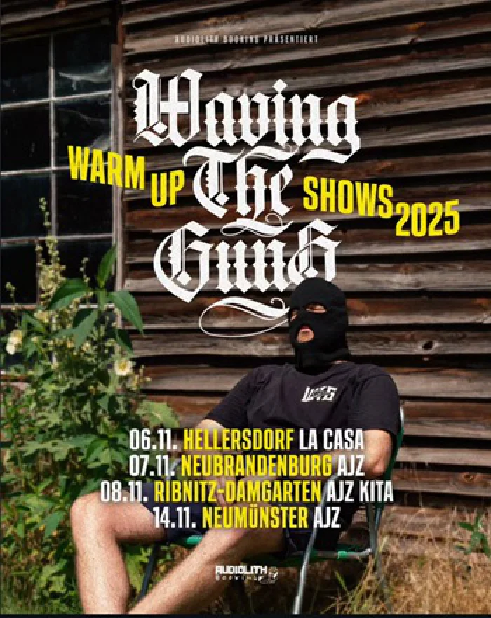 Flyer: WAVING THE GUNS