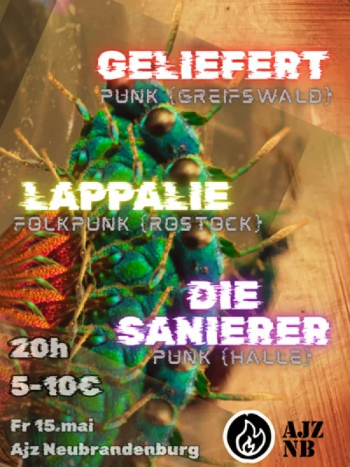 Flyer: GELIEFERT + LAPPALIE + DIE SANIERER