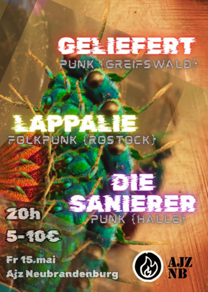 Flyer: GELIEFERT + LAPPALIE + DIE SANIERER