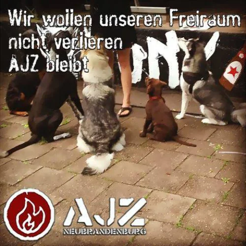 bild0_1402604038.jpg &ndash; Bild 11